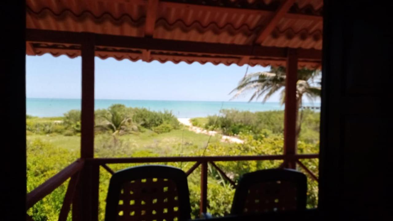 Cabanas 엘 쿠요 외부 사진
